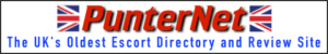 PunterNet Logo